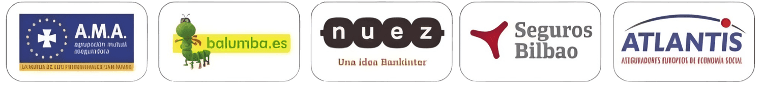 Insurer 4