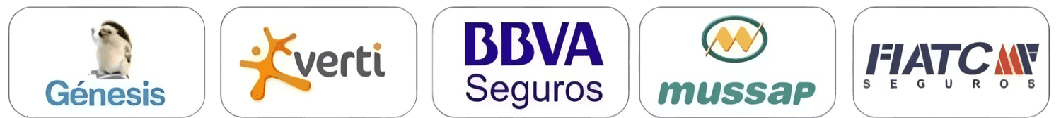 Insurer 5